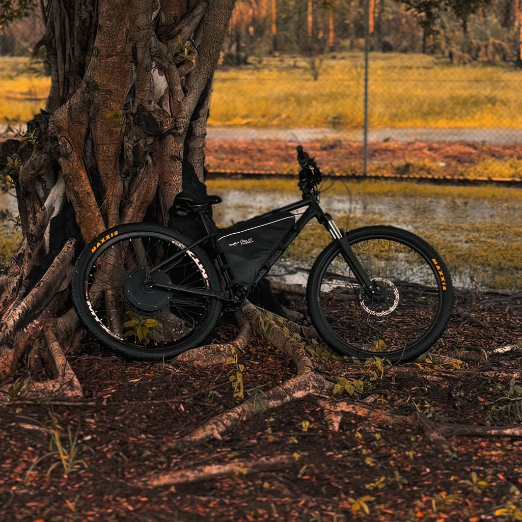 1500W Motor and Battery Combo