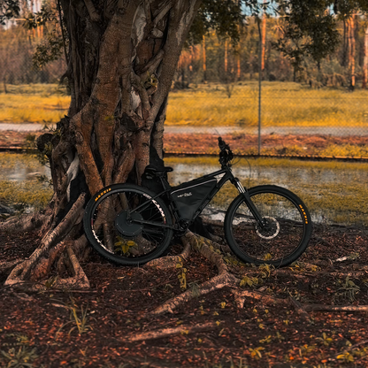 3000W Motor and Battery Combo