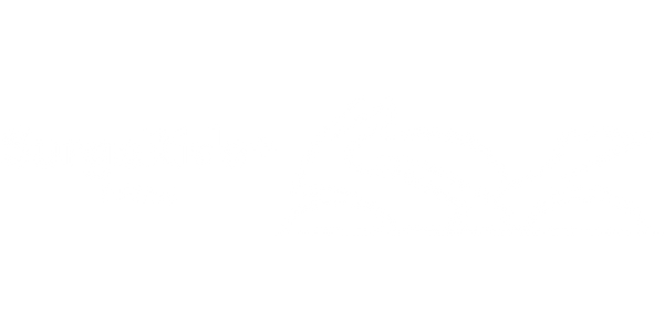 SurgeRide E-Bikes