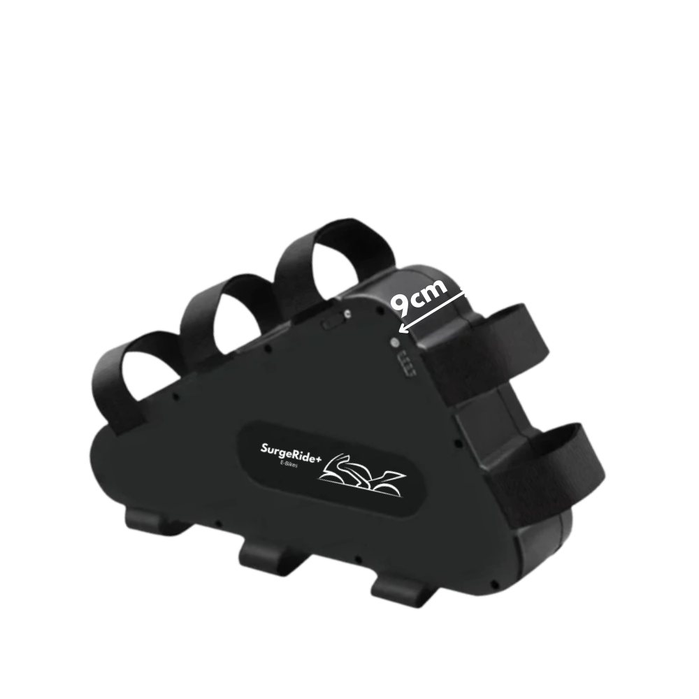 2000W Motor and Battery Combo