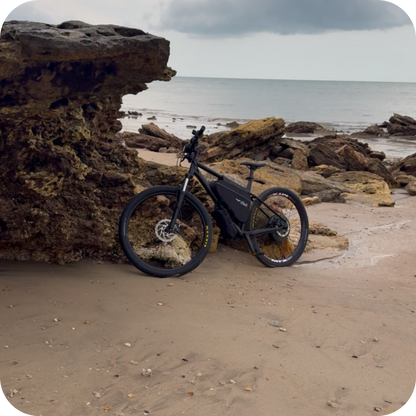 1500W Motor and Battery Combo